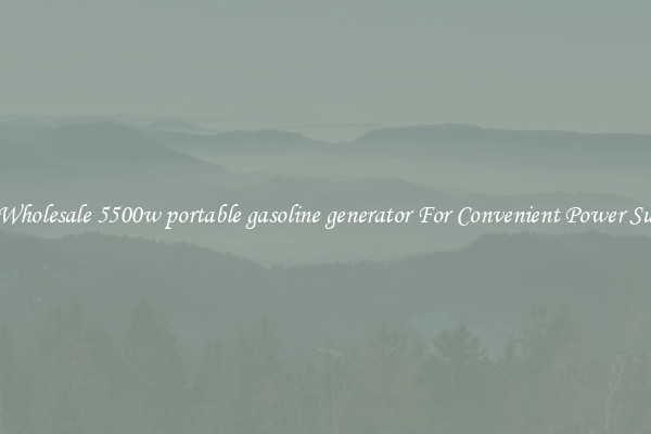 Get Wholesale 5500w portable gasoline generator For Convenient Power Supply