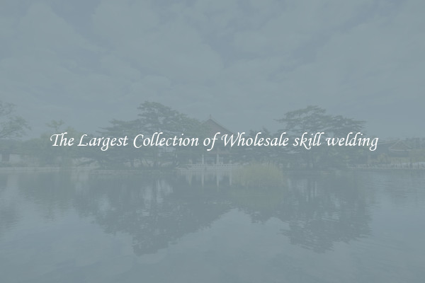 The Largest Collection of Wholesale skill welding
