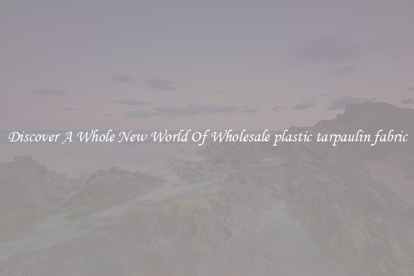 Discover A Whole New World Of Wholesale plastic tarpaulin fabric