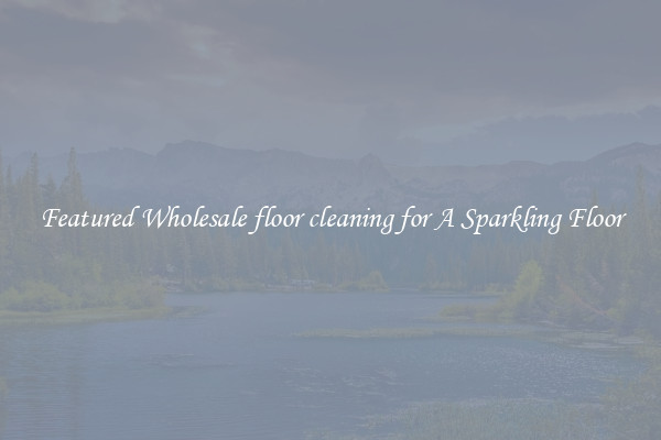 Featured Wholesale floor cleaning for A Sparkling Floor