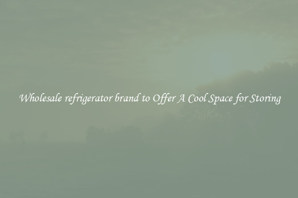 Wholesale refrigerator brand to Offer A Cool Space for Storing