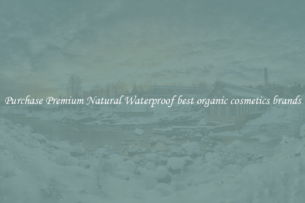 Purchase Premium Natural Waterproof best organic cosmetics brands
