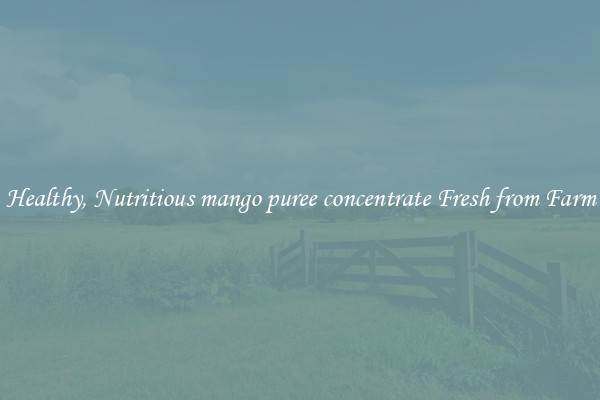 Healthy, Nutritious mango puree concentrate Fresh from Farm