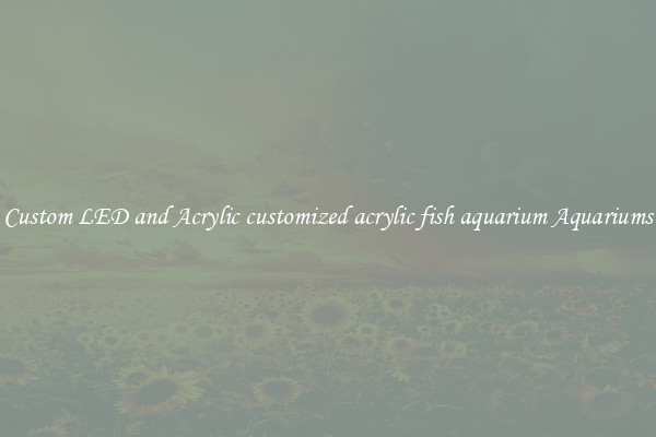 Custom LED and Acrylic customized acrylic fish aquarium Aquariums
