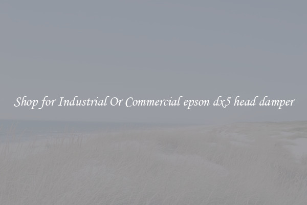 Shop for Industrial Or Commercial epson dx5 head damper