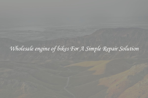 Wholesale engine of bikes For A Simple Repair Solution