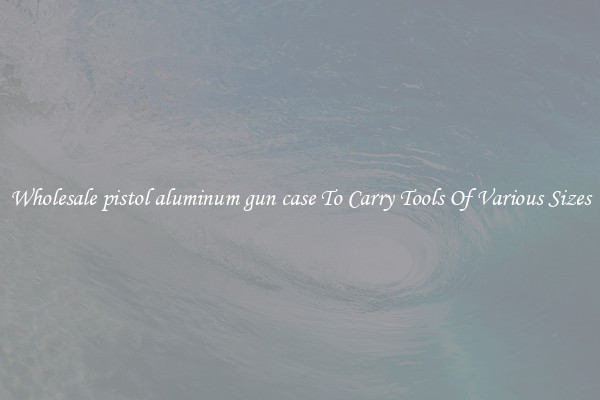 Wholesale pistol aluminum gun case To Carry Tools Of Various Sizes