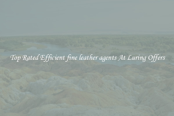Top Rated Efficient fine leather agents At Luring Offers