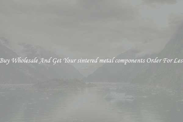 Buy Wholesale And Get Your sintered metal components Order For Less