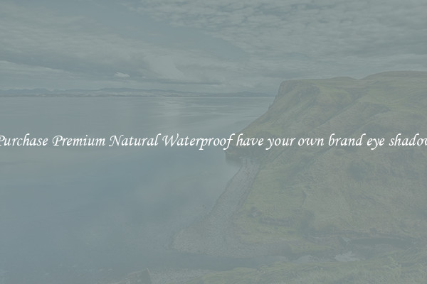 Purchase Premium Natural Waterproof have your own brand eye shadow