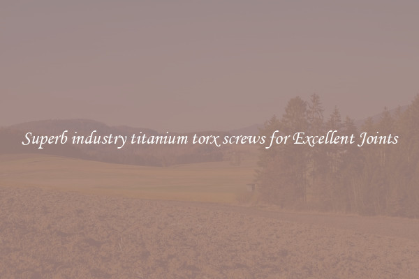 Superb industry titanium torx screws for Excellent Joints