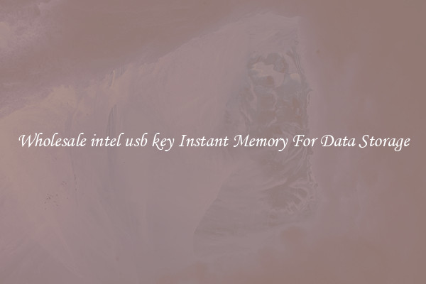 Wholesale intel usb key Instant Memory For Data Storage