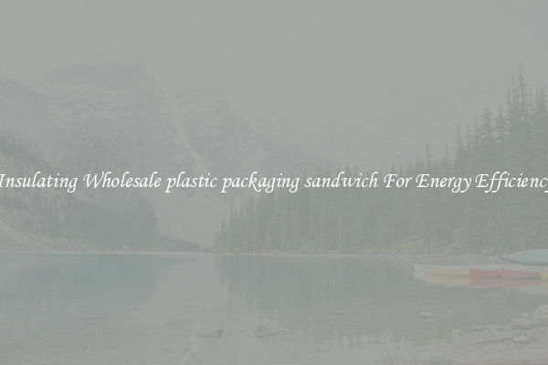 Insulating Wholesale plastic packaging sandwich For Energy Efficiency
