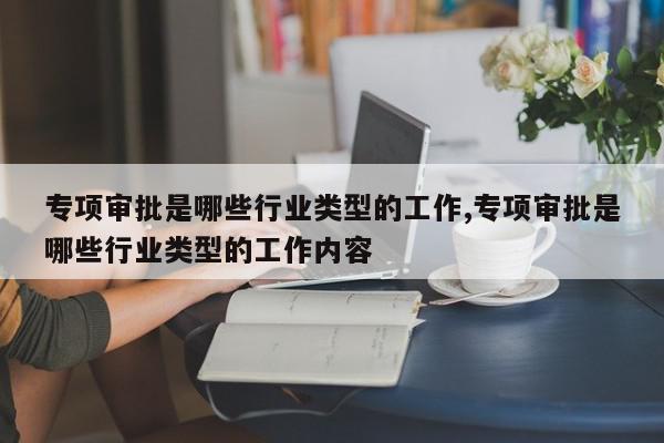专项审批是哪些行业类型的工作,专项审批是哪些行业类型的工作内容