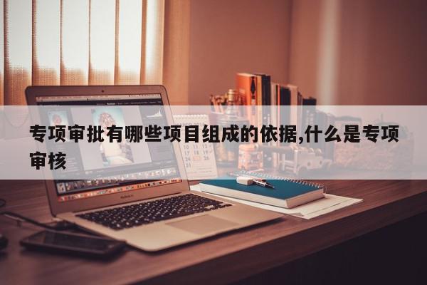 专项审批有哪些项目组成的依据,什么是专项审核